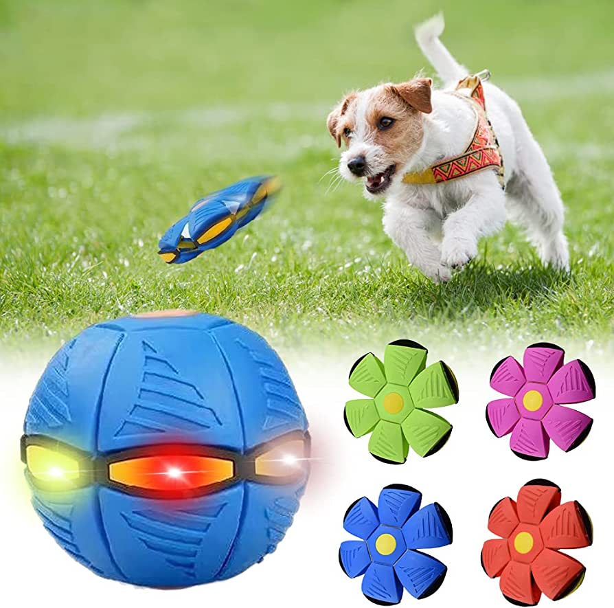 Frisbee for dogs 