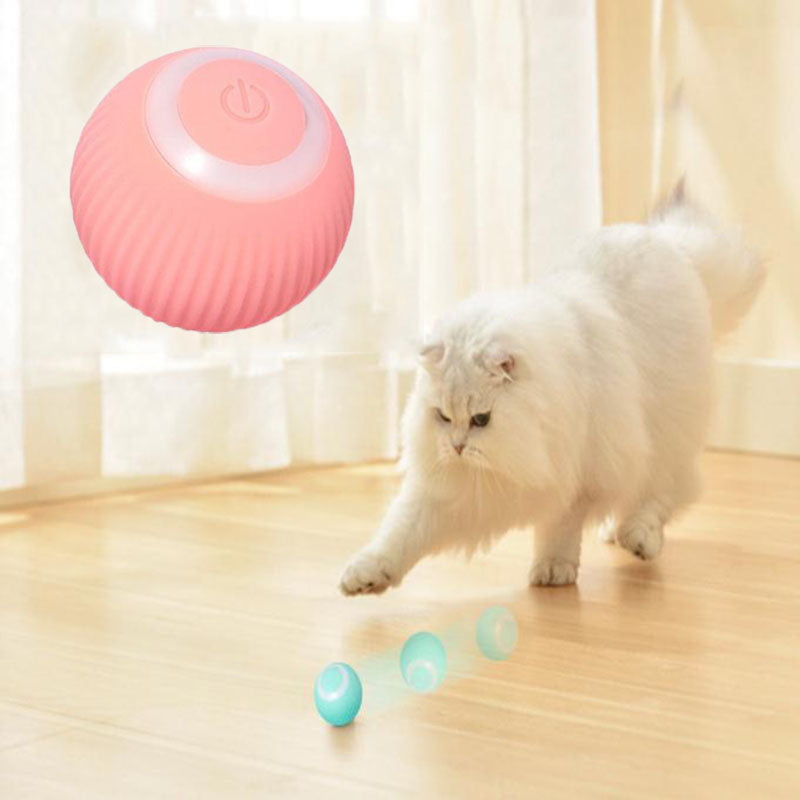 Interactive ball for cats